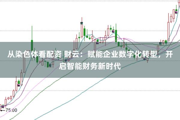 从染色体看配资 财云：赋能企业数字化转型，开启智能财务新时代